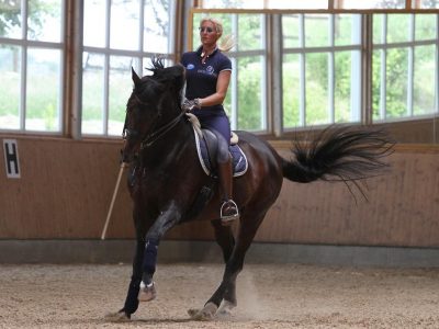 Silvia andrà a Falsterbo