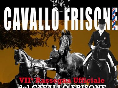 VII RASSEGNA NAZIONALE DEL CAVALLO FRISONE