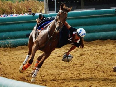 Margherita Josi Paglieri: non solo dressage… ai WEG ci sarà anche lei.