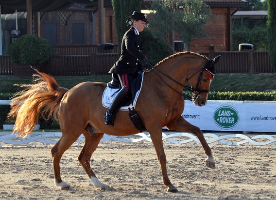 Titoli Freestyle assegnati ad Arezzo tuttoDRESSAGE