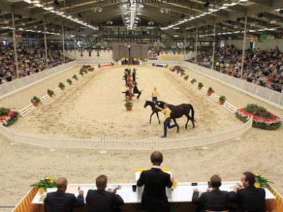 I migliori puledri e le migliori cavalle alla 41-esima asta Hannover