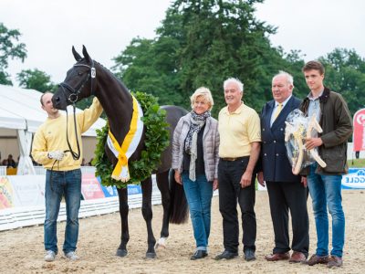 L’Herwart von der Decken-Show apre l’International Dressage and Show Jumping Festival