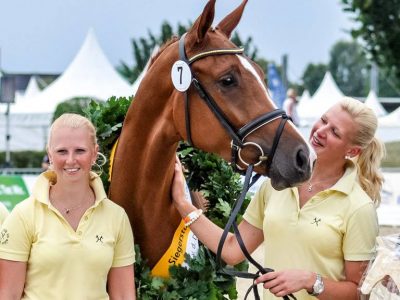 Verden: Sfilano le migliori cavalle di 3 anni del momento