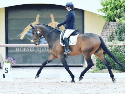 UN CAVALLO ITALIANO MIPAAF CHE PROFUMA DI RECORD