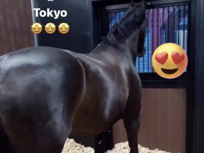 FRANCESCO ZAZA ARRIVATO A TOKYO