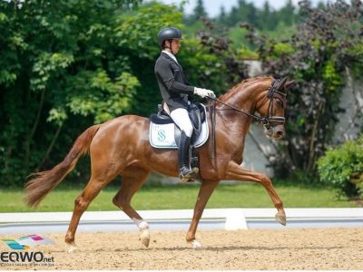 CAMPIONATI DEL MONDO CAVALLI GIOVANI