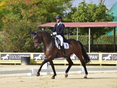 Campionati Senior, Tecnici e Freestyle