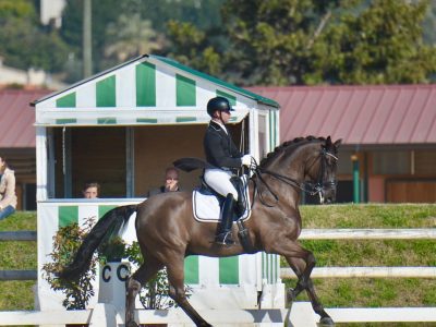 Prima giornata ai Dressage European Championship di Hagen 2021