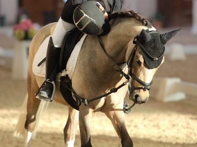 Campionati Regionali Lombardi di Dressage 9-10 Ottobre 2021