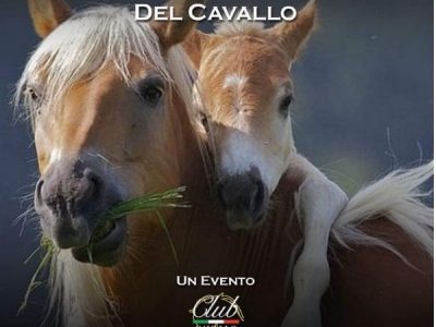 Passione Cavallo e Club Cavallo Italia uniti per celebrare la Giornata Nazionale del Cavallo®.