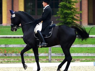 ECAHO European Championships 2023 – Michele Toldo tra i giudici di Dressage