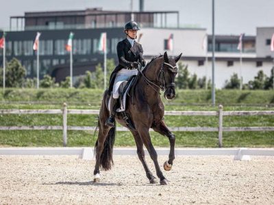 FEI WBFSH Dressage World Breeding 2024: I binomi convocati