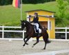 FEI WBFSH Ermelo 2024: A tu...