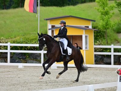 FEI WBFSH Ermelo 2024: A tu per tu con Ginevra Coperchio e Toronto.