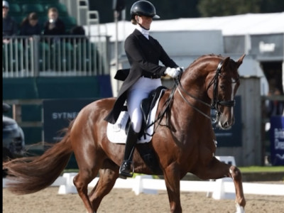 Wellington Autumn international dressage 2024: Whalund in evidenza.