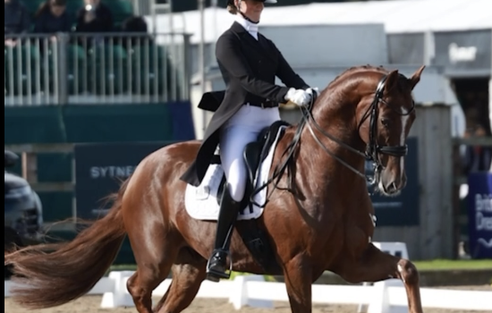 Wellington Autumn international dressage 2024: Whalund in evidenza.