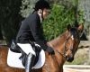 Paradressage: Oro per David...