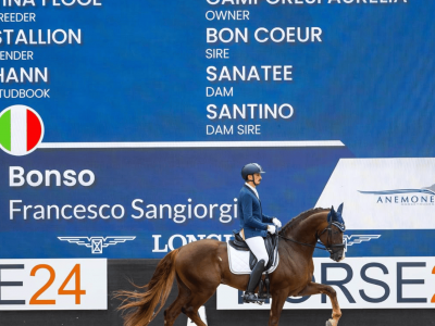 Programma Giovani Cavalli Dressage 2025: Obiettivi e Regolamenti